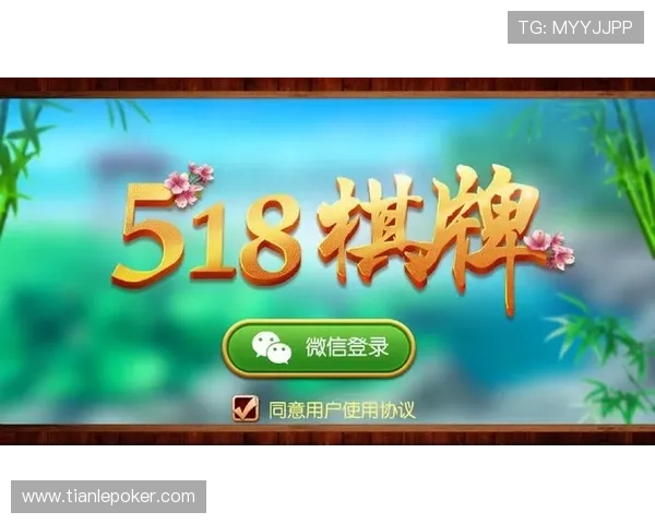 如何选择安全可靠的棋牌在线平台,保障账号安全与游戏公平性